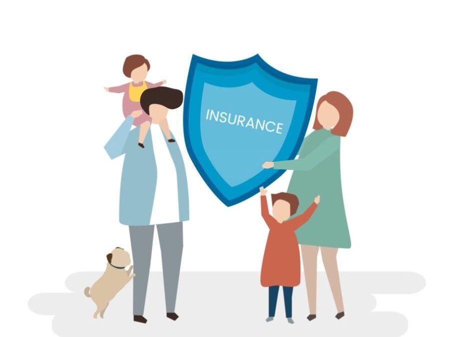 Tipos de seguros de vida | 6 opciones idóneas