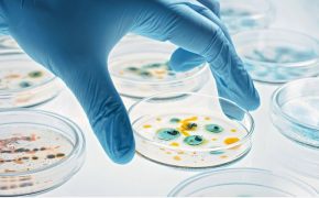 ¿Conoces el virus fiebre de la pereza que está aumentando en España? virus fiebre de la pereza